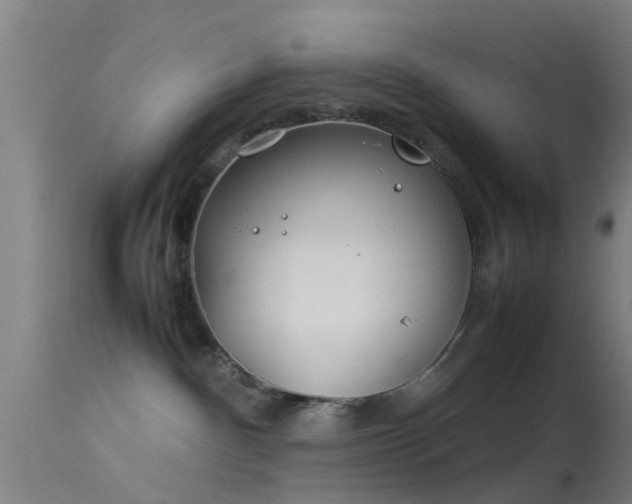 X0000114140140200910151618