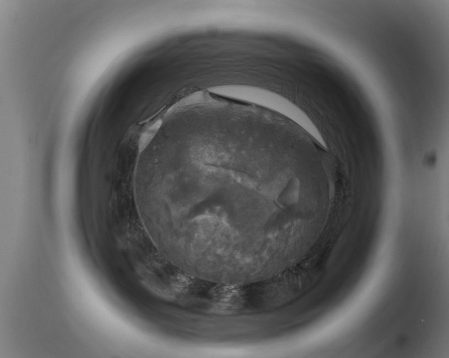 X0000114140143200910151618