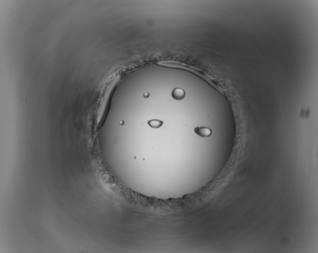 X0000114140144200910151618