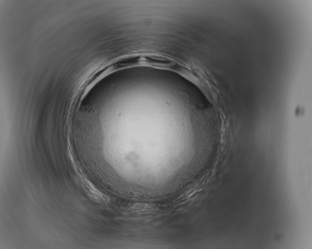 X0000114140145200910151618