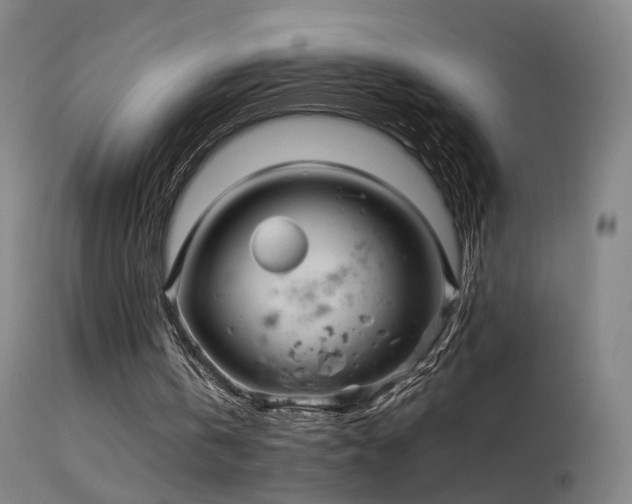 X0000114140146200910151618