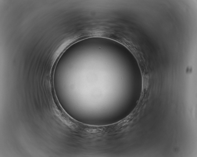 X0000114140147200910151618