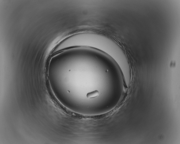 X0000114140150200910151618