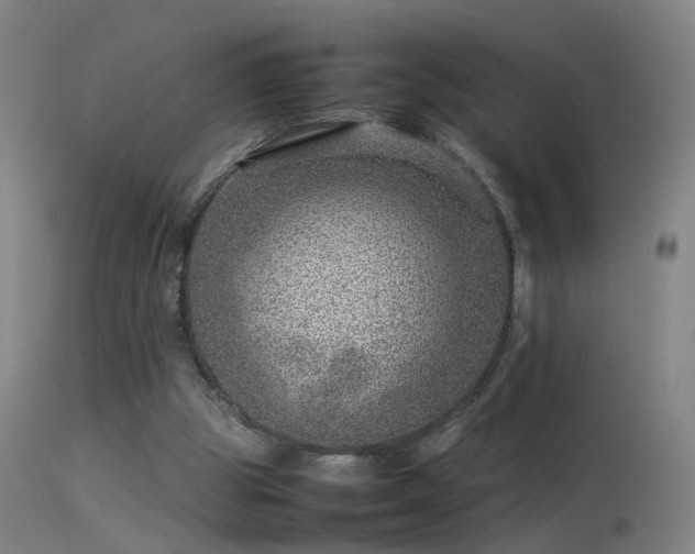 X0000114140153200910151618