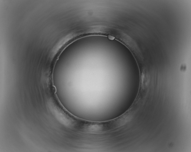 X0000114140156200910151618