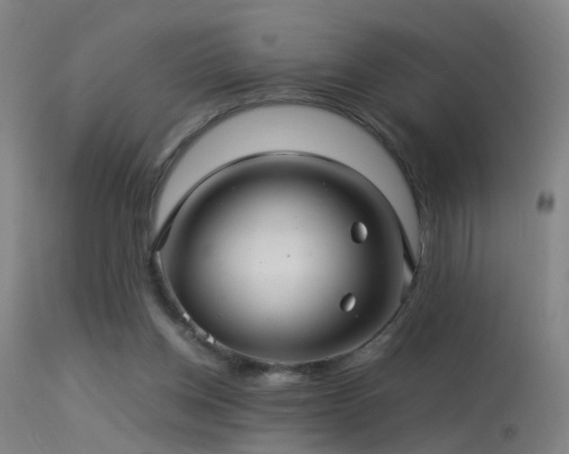 X0000114140158200910151618