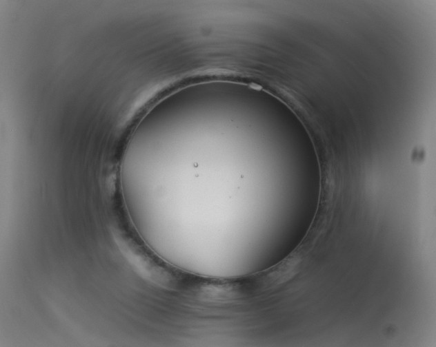 X0000114140160200910151618