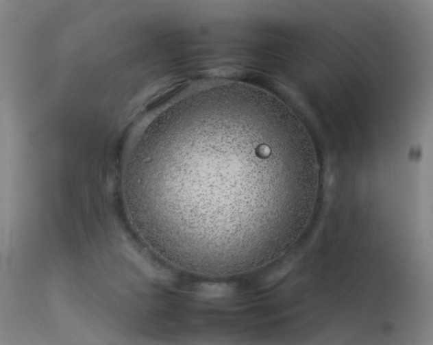 X0000114140161200910151618