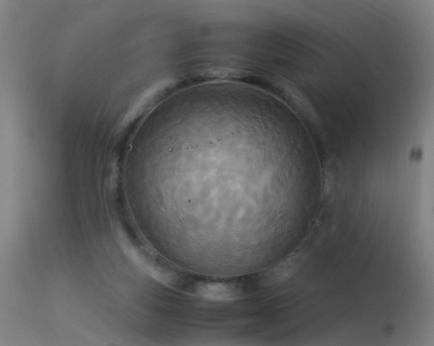 X0000114140163200910151618