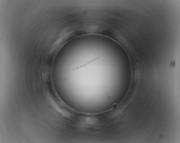 X0000114140165200910151618