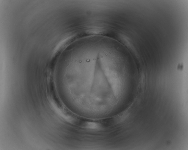 X0000114140167200910151618