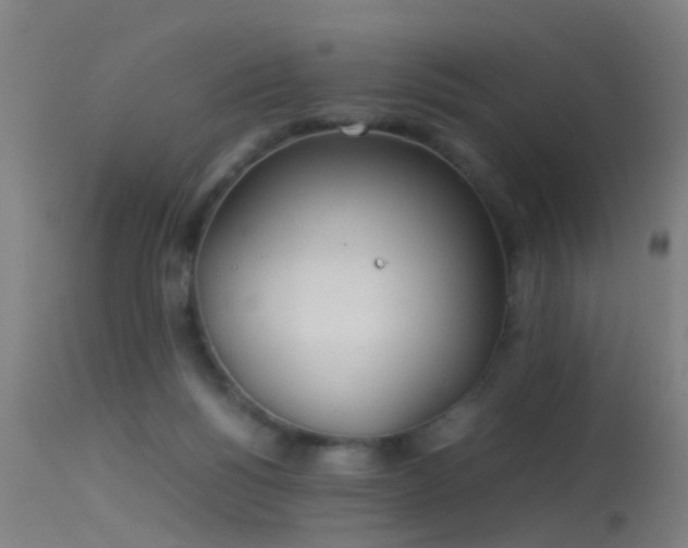 X0000114140168200910151618