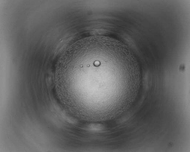 X0000114140169200910151618