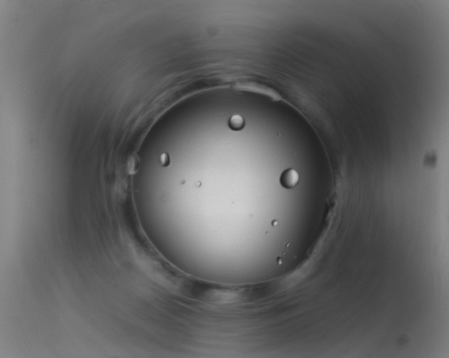 X0000114140170200910151618