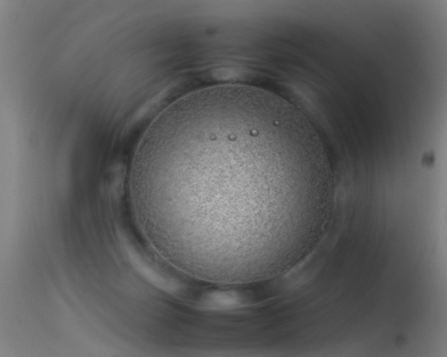 X0000114140171200910151618