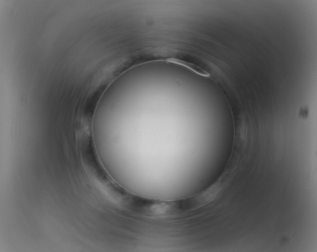 X0000114140172200910151618