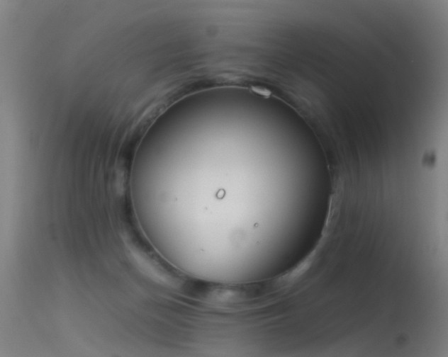 X0000114140174200910151618