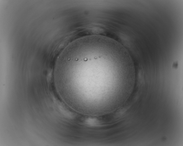 X0000114140177200910151618