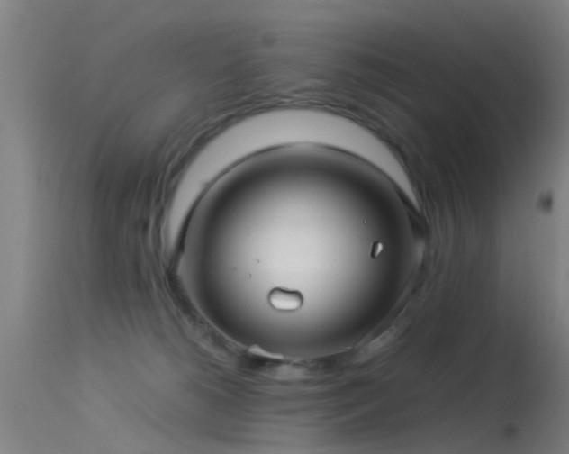 X0000114140180200910151618