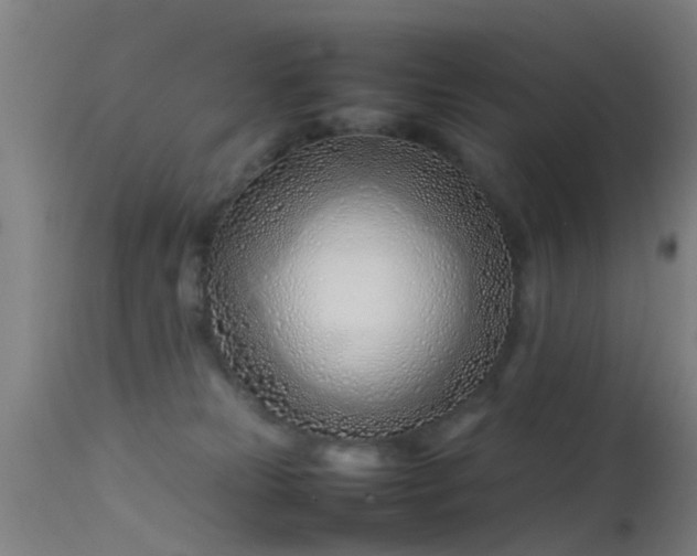 X0000114140181200910151618