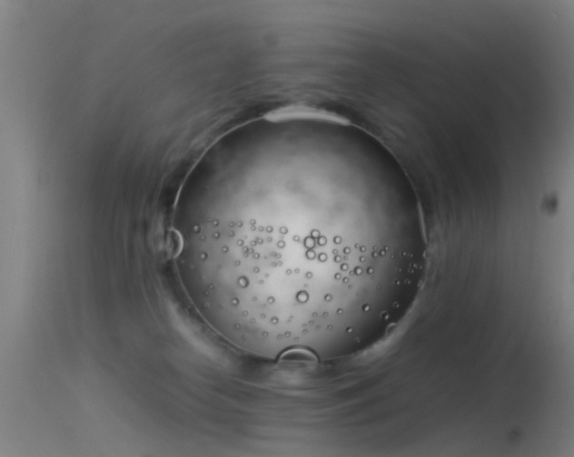 X0000114140182200910151618