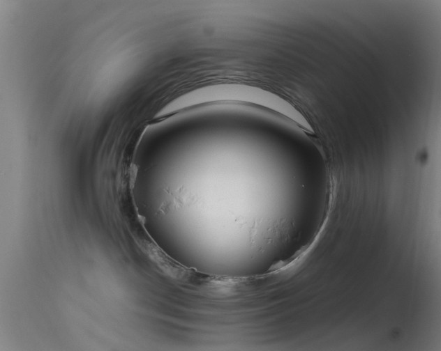 X0000114140190200910151618