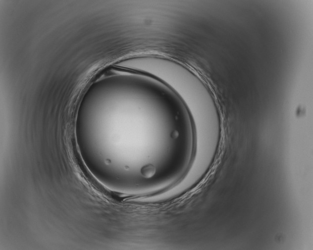 X0000114140193200910151618