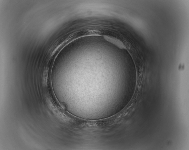 X0000114140194200910151618