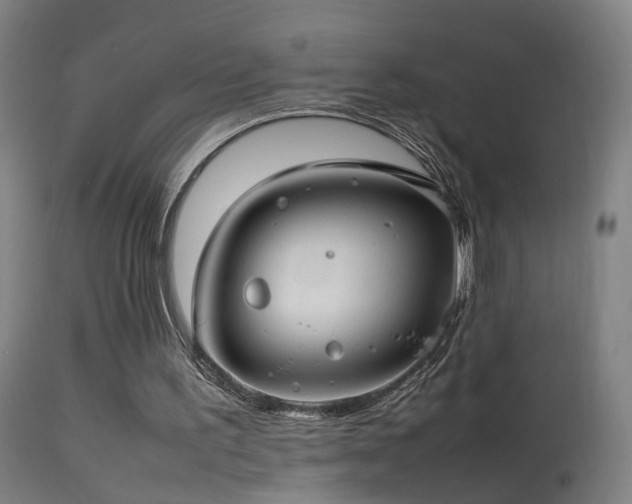 X0000114140195200910151618