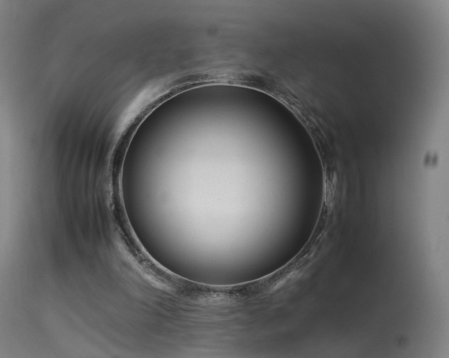 X0000114140198200910151618