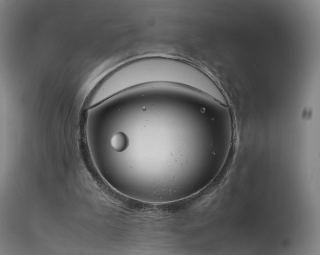 X0000114140199200910151618