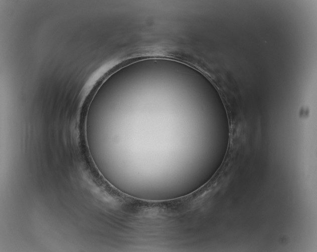 X0000114140200200910151618