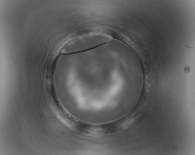 X0000114140203200910151618