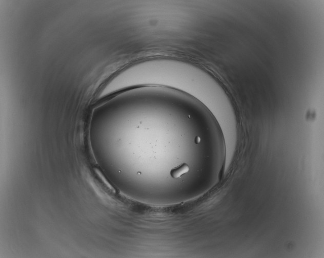 X0000114140205200910151618