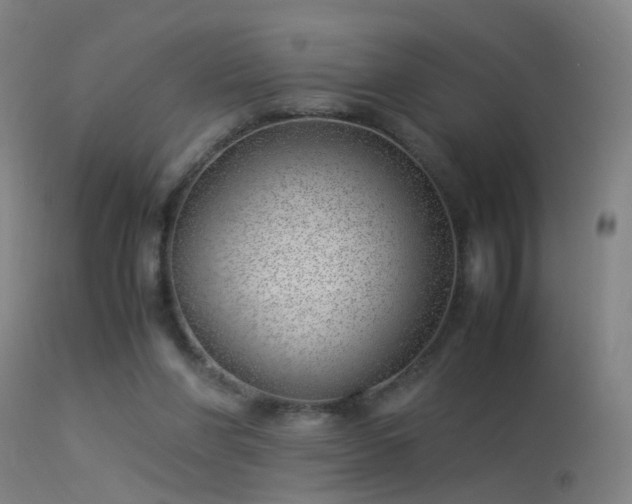 X0000114140206200910151617