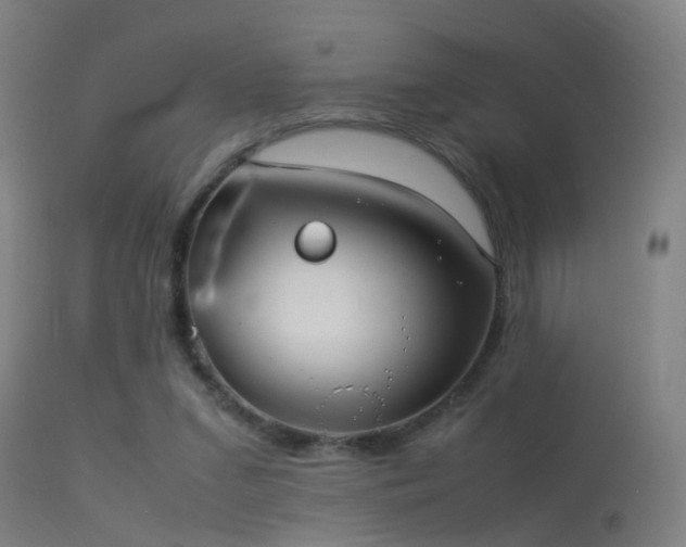 X0000114140207200910151617