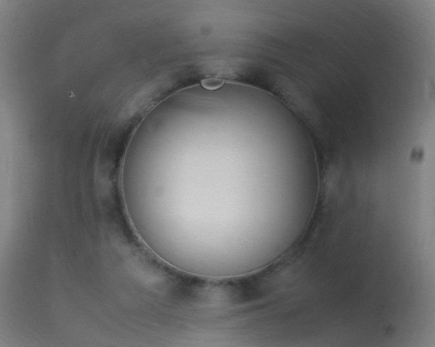 X0000114140209200910151617