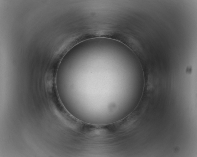 X0000114140210200910151617