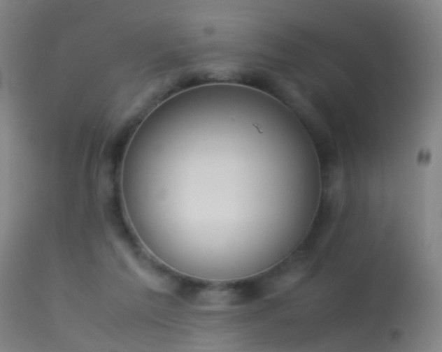 X0000114140213200910151617