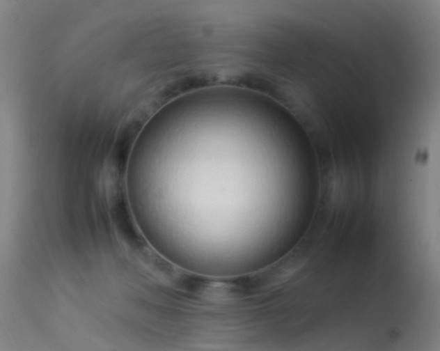 X0000114140222200910151617