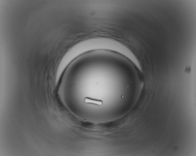 X0000114140223200910151617