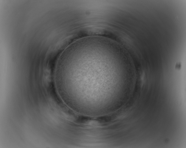 X0000114140224200910151617