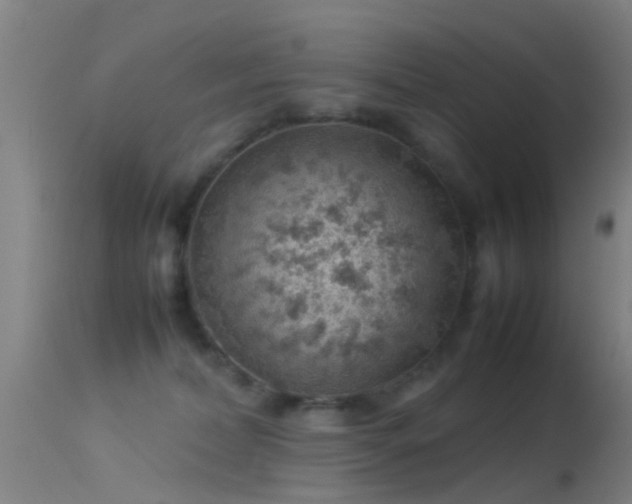 X0000114140228200910151617