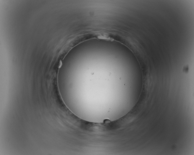 X0000114140229200910151617