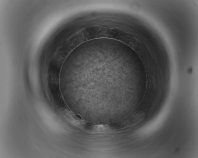 X0000114140239200910151617