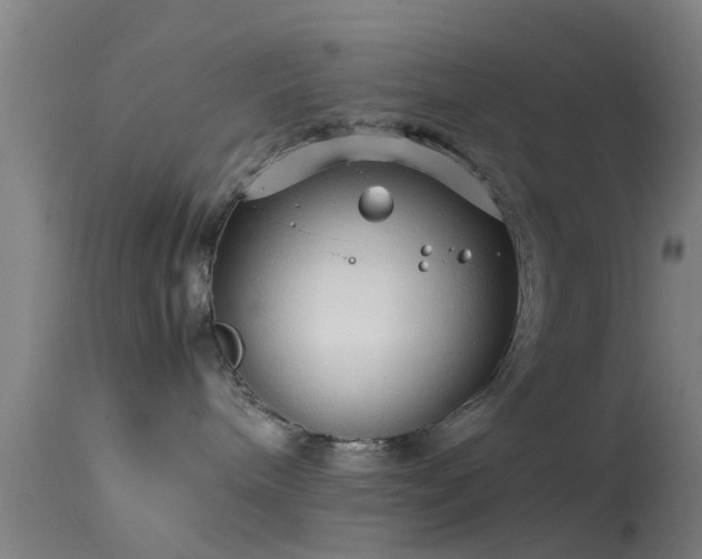 X0000114140240200910151617