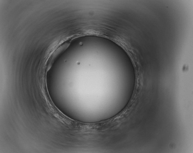 X0000114140241200910151616