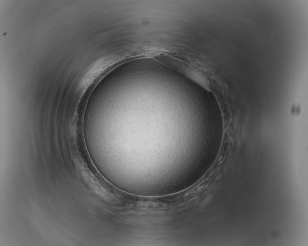 X0000114140242200910151616