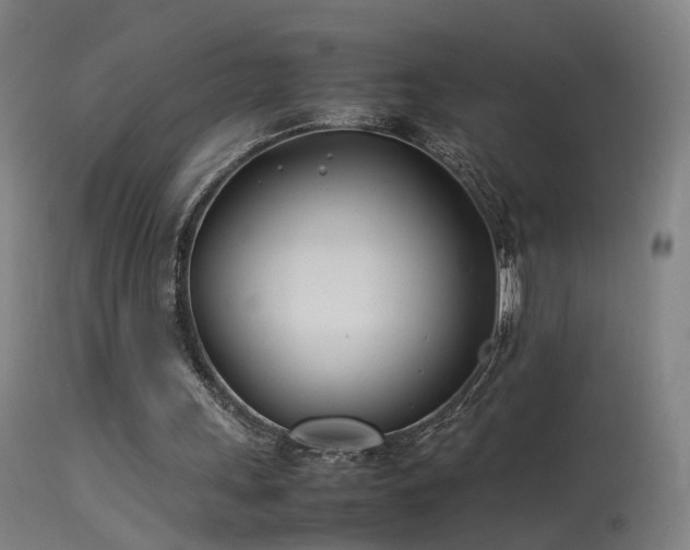 X0000114140243200910151616