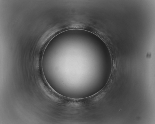 X0000114140247200910151616